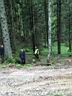 Oedbergalm_37.jpg